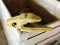 E161-3017-32 Outils de construction d'adaptateur en carbone pour accessoires de dents de godet au sol