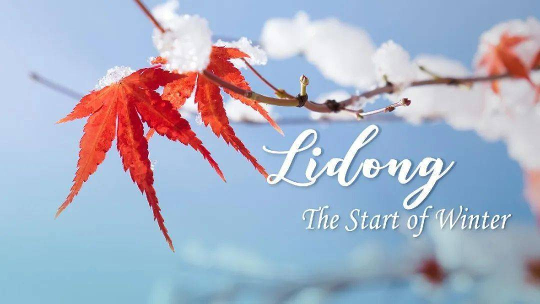 Début de l’hiver : une saison de repos et de réflexion